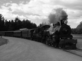Kingston Flyer