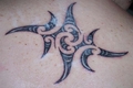 My Tatoo