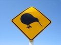 Faites zy gaffe aux kiwis !!!