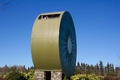 Kiwifruit