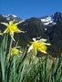 Sur la route de Milford Sounds