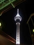 sky tower by night
