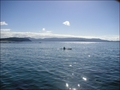 Tawharanui