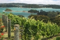 Vignoble Te Whau à Waiheke Island, près d'Auckland