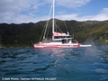 Bay Of Island - Croisière sur un catamaran + nage avec des dauphins