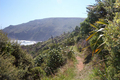 Bethells à 40 min d'Auckland (2)
