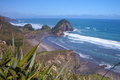 Bethells à 40 min d'Auckland