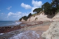 Devonport: entre Cheltenham Beach et Narrow Neck à marrée basse