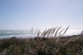Ocean's beach - Kawhia