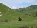 Entre Taupo et Welligton