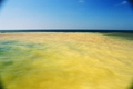 Jaune Soufre de White Island