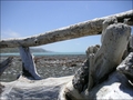 Kaikoura 2
