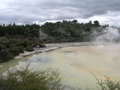 La Palette de l'artiste, Rotorua