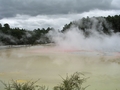 La Palette de l'artiste, Rotorua