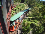 Le petit train dans le bush à Coromandel Town