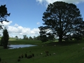 Party Tree, Hobbitton