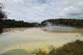 Wai o tapu artist Palette 25/12/07