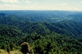 Whanganui National Park