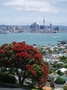 Auckland