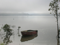 barque - rawene