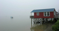 brouillard matinal - rawene