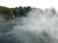 Fumerolles dans le parc de Rotorua