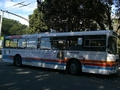 Le bus electrique de Welly