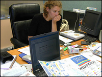 modele cv neo zelandais, photo vu sur : frogs-in-nz.com modele cv neo zelandais, photo vu sur : frogs-in-nz.com