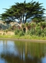 Queen Elizabeth Park - Kapiti coast