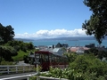 Wellington