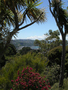 Wellington