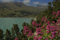 Diamond Harbour