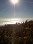 Duke Bay, mer de Tasman