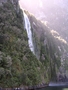 Milford Sound Fall