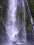 Milford Sound Fall