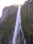 Milford Sound Fall