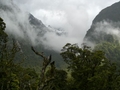Milford Sound