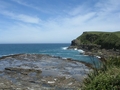 plage de la forêt fossile, Catlins