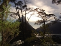 Reflets jurasssiens sur Milford Sound