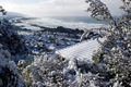 Plage de St Clair sous la neige (Dunedin)