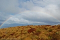 Arc en ciel sur les tussocks