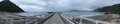 jackson bay