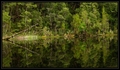 Mirror Tarn - Karamea