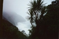 West Coast dans toute sa splendeur