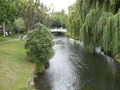 Avon à Christchurch