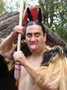 Te Puia