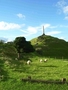one tree hill, Auckland