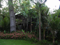 tree Lodge House