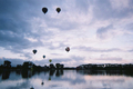 balloons over waikato hamilton