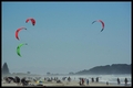 Ca bouge à Mt Maunganui